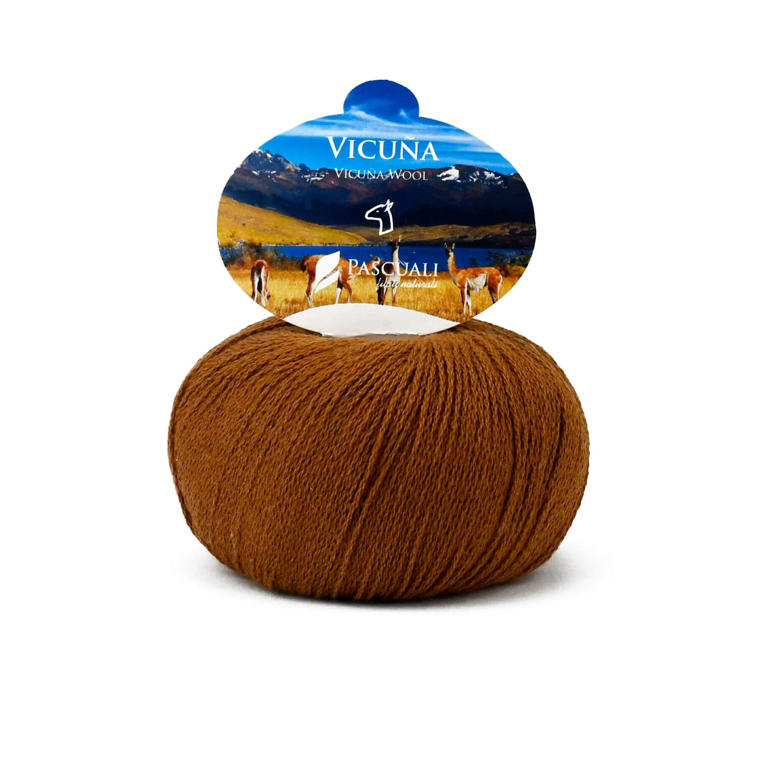 VICUÑA (UE)