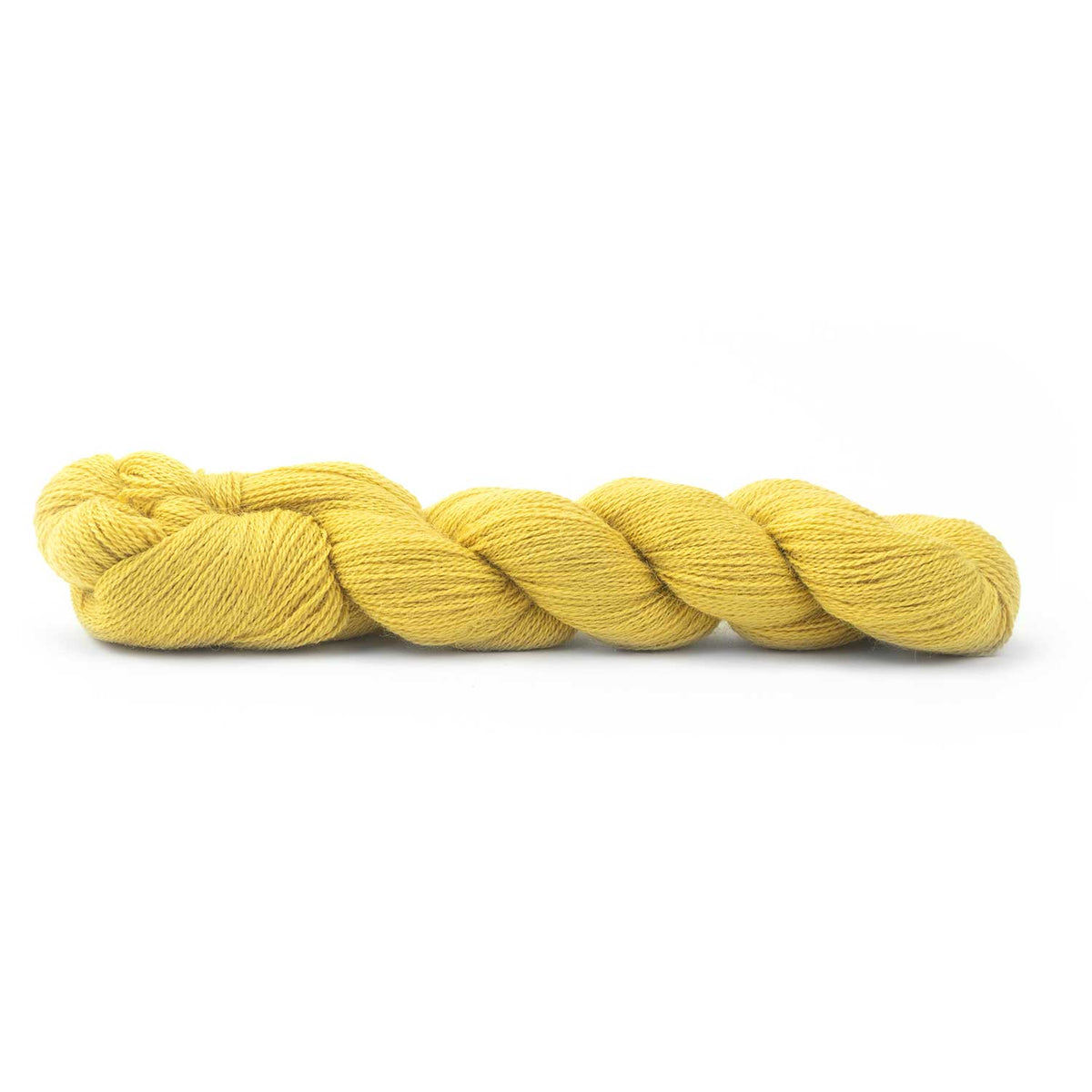 ALPACA LACE (RAS) (PU)