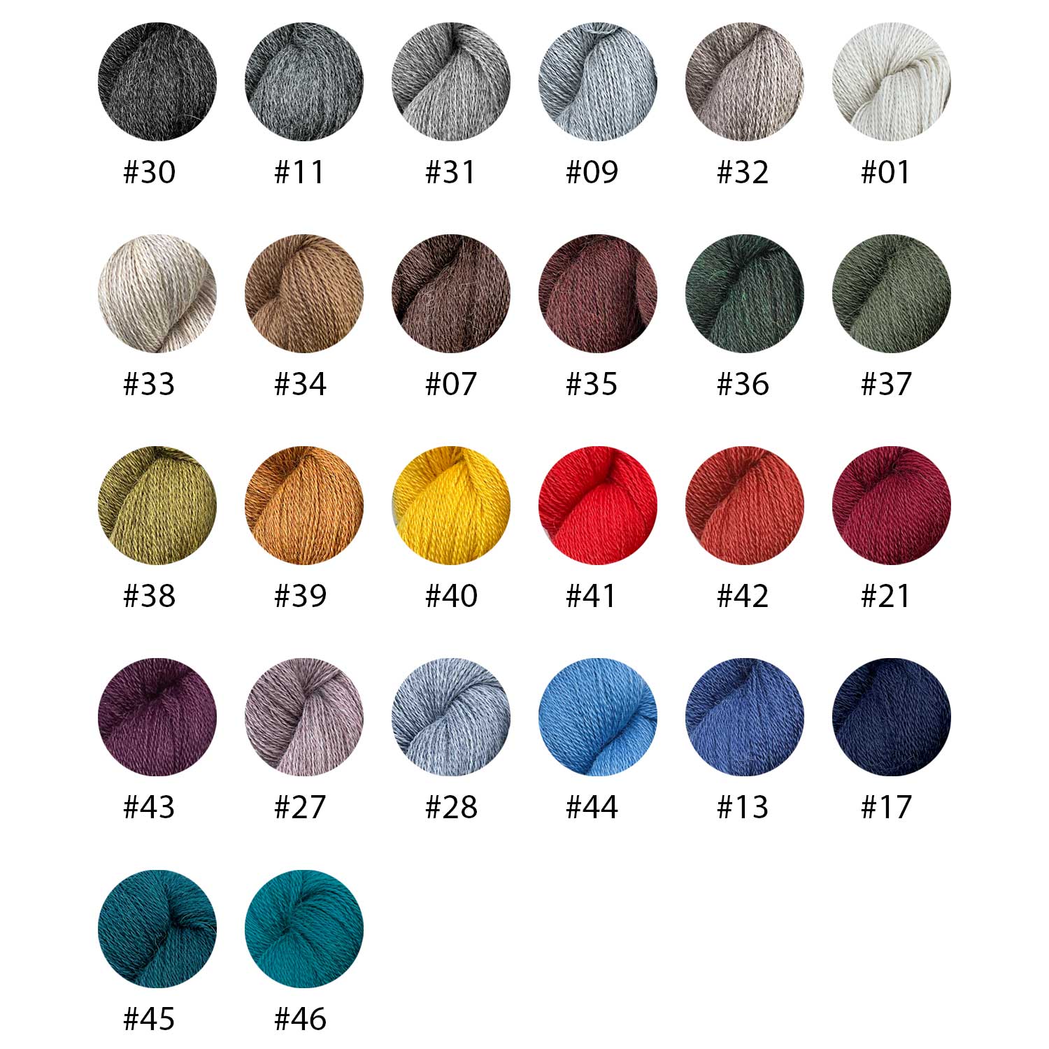 ALPACA LACE (RAS) (PU)